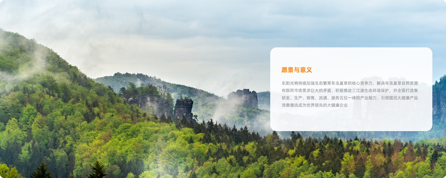 组49拷贝2.png